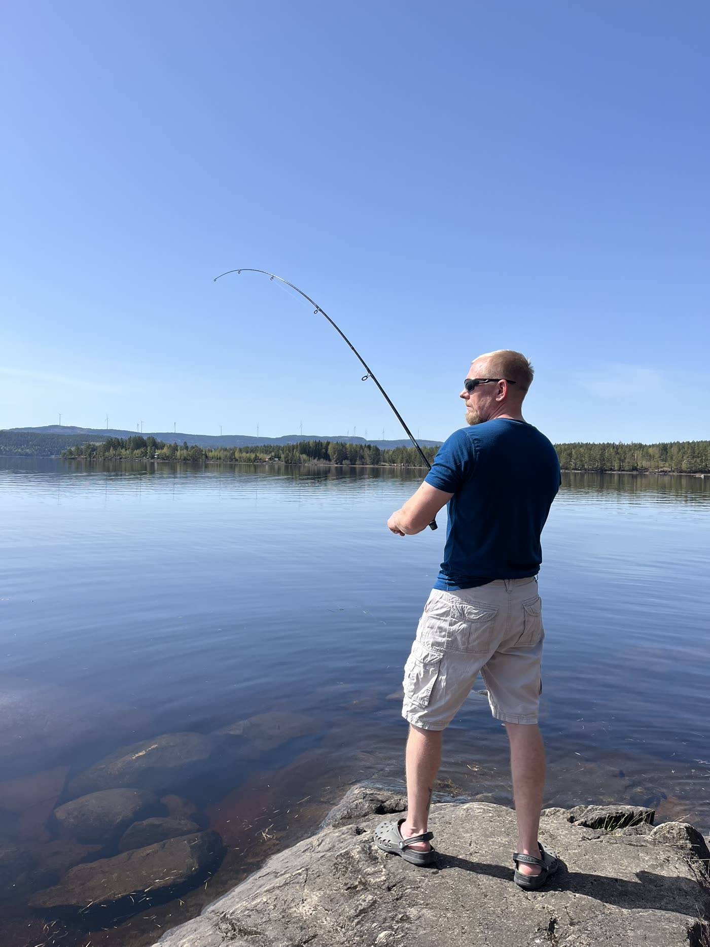 Elg som passerer en hytte i Nord-Odal en vinterdag